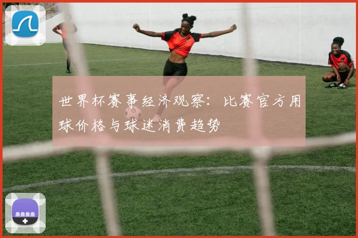 世界杯赛事经济观察:比赛官方用球价格与球迷消费趋势