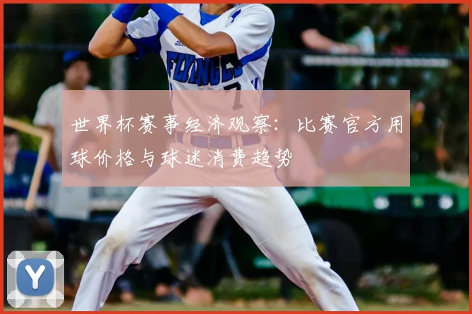 世界杯赛事经济观察:比赛官方用球价格与球迷消费趋势